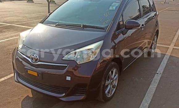 Buy Used Toyota Ractis Other Car in Blantyre in Malawi