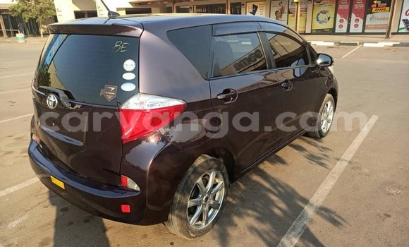 Buy Used Toyota Ractis Other Car in Blantyre in Malawi Buy Used Toyota Ractis Other Car in Blantyre in Malawi