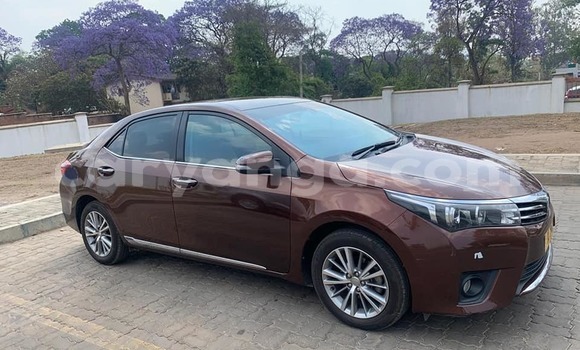 Buy Used Toyota Corolla Brown Car in Blantyre in Malawi Buy Used Toyota Corolla Brown Car in Blantyre in Malawi